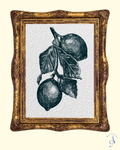 Limones