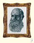 Retrato de Anciano Vol I.